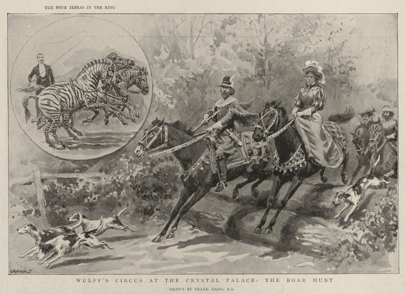 Wulffs Cirkus i Crystal Palace, Ornejagten af Frank Dadd