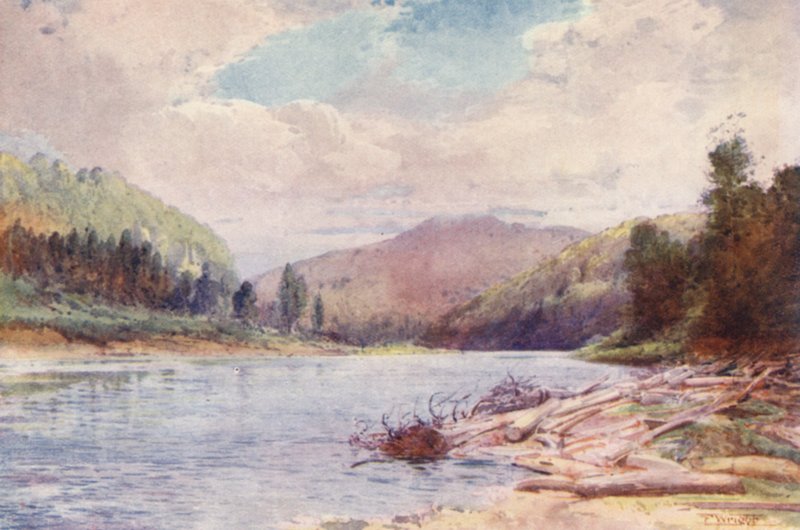 New Zealand: Below the Junction of the Buller and Inangahua Rivers (farvelitografi) af Frank H Wright