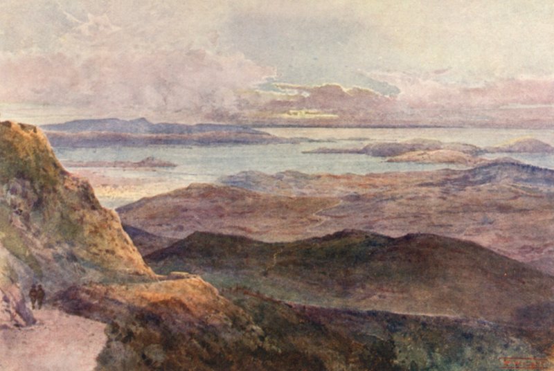 New Zealand: Coromandel (farvelitografi) af Frank H Wright