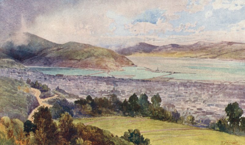 New Zealand: Dunedin (farvelitografi) af Frank H Wright