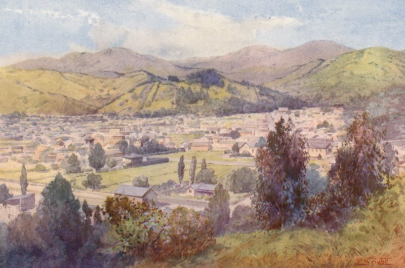 New Zealand: Nelson (farvelitografi) af Frank H Wright