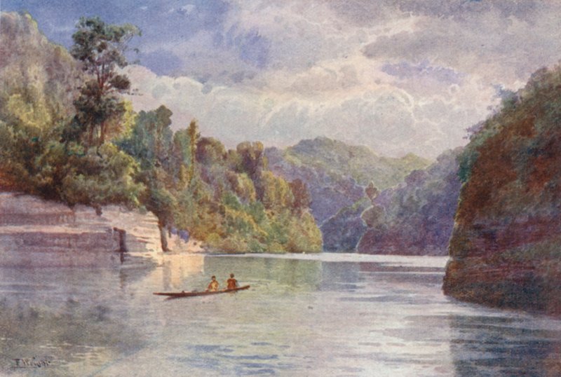New Zealand: Tarei-po-Kiore (farvelitografi) af Frank H Wright