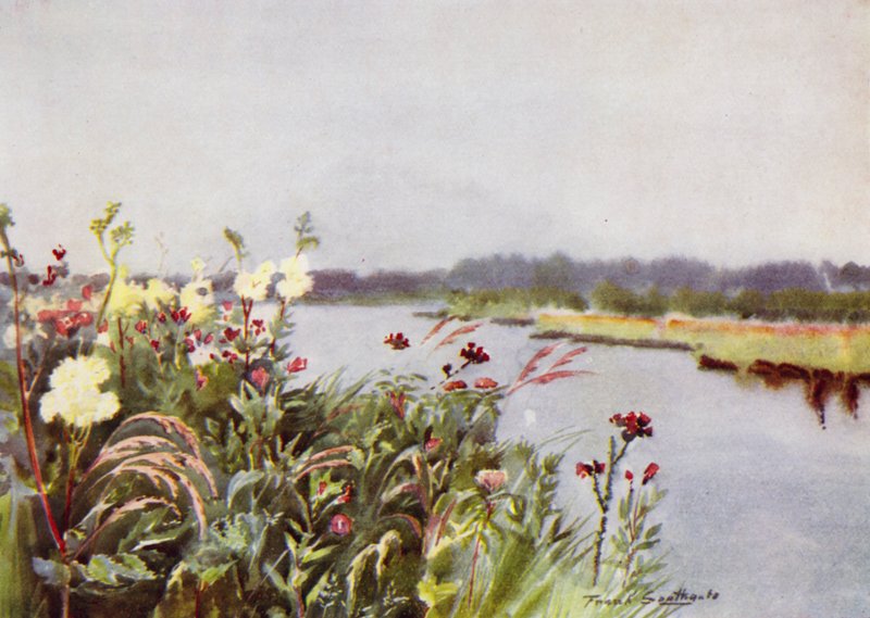 Norfolk Broads: A Bure Bank (farve litho) af Frank Southgate
