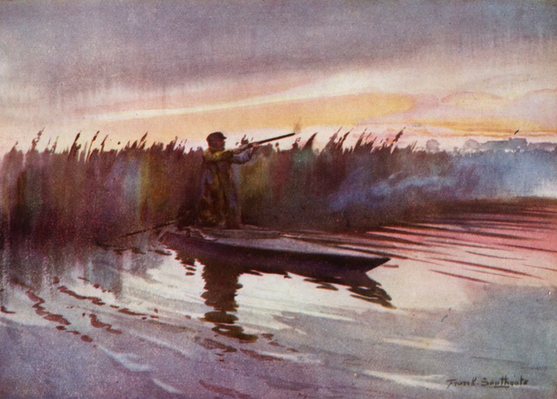 Norfolk Broads: Flight-Shooting (farve litho) af Frank Southgate