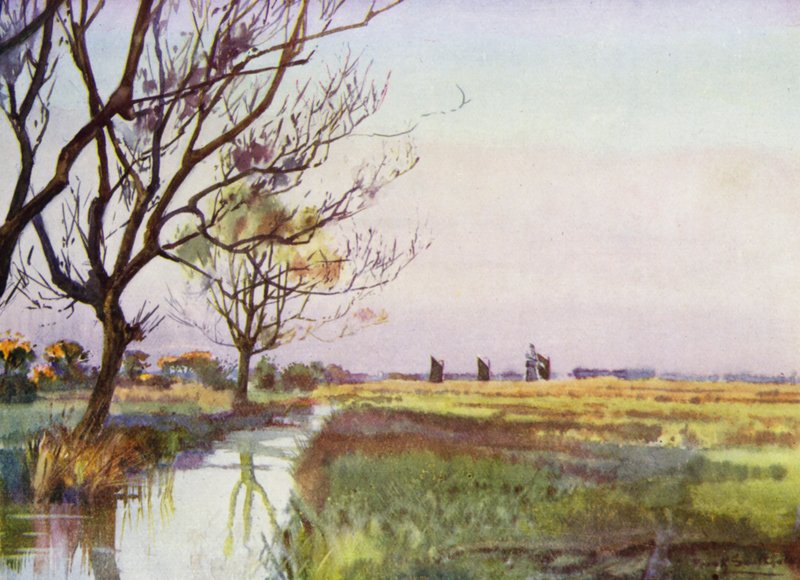 Norfolk Broads: Marshland nær Barton (farve litho) af Frank Southgate