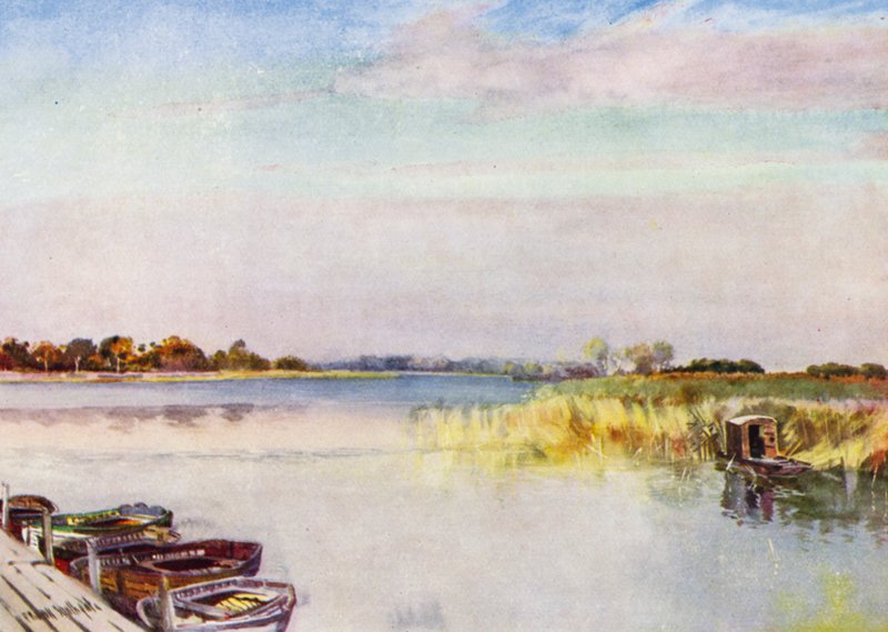 Norfolk Broads: Ormesby Broad, Autumn (color litho) af Frank Southgate