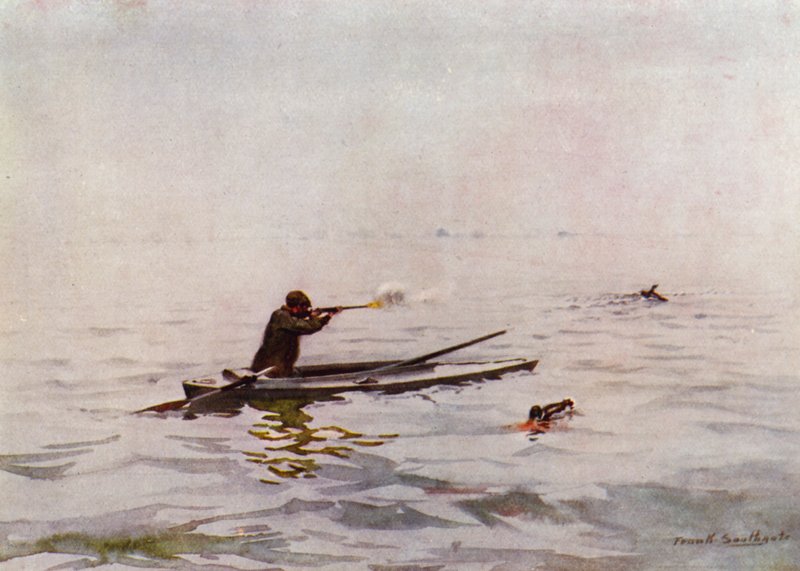 Norfolk Broads: Punt-Gunning på Breydon (farve litho) af Frank Southgate