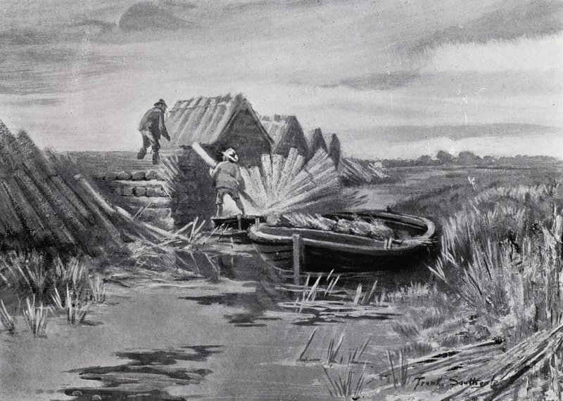 Norfolk Broads: Reed-stabling (litho) af Frank Southgate