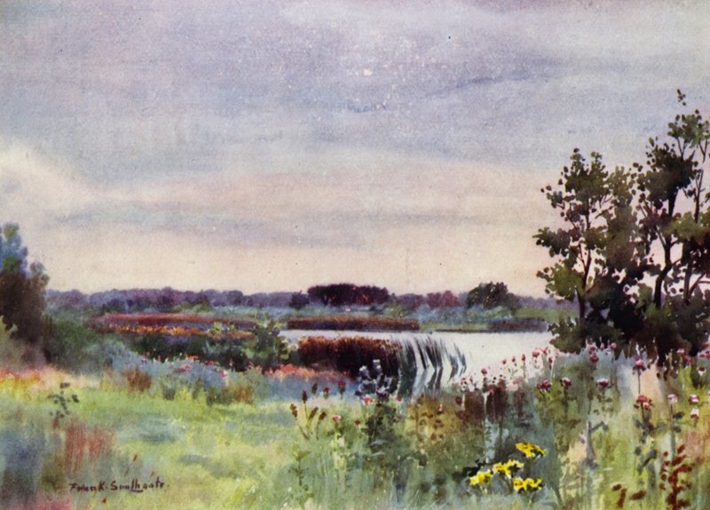 Norfolk Broads: Salhouse Great Broad (farve litho) af Frank Southgate