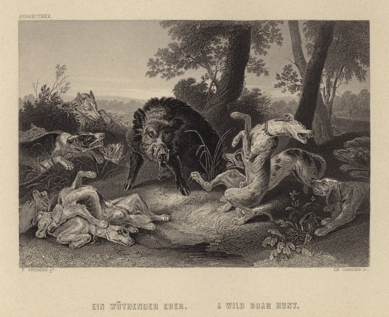 En vildsvinejagt af Frans Snyders or Snijders