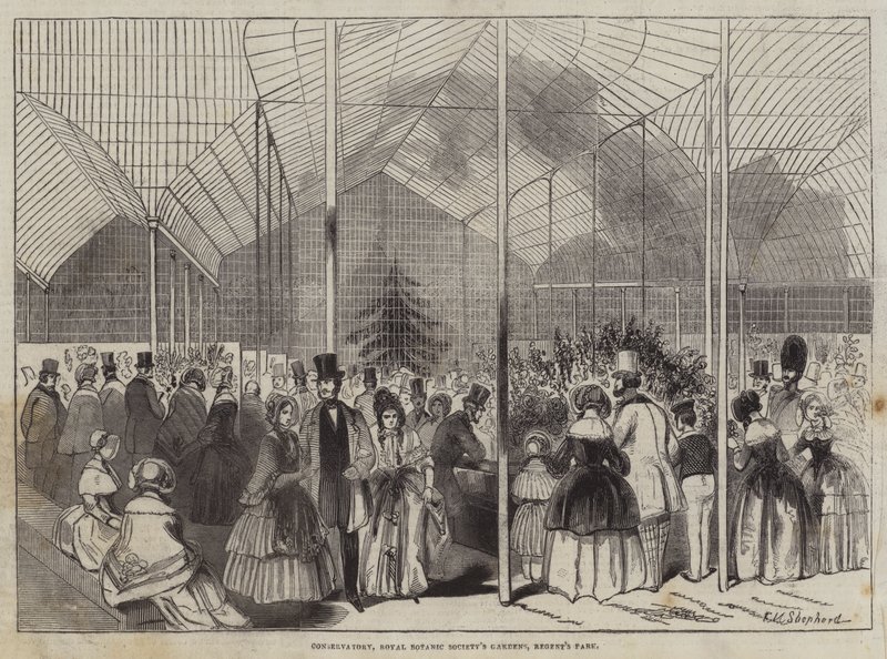 Konservatoriet, Royal Botanic Society