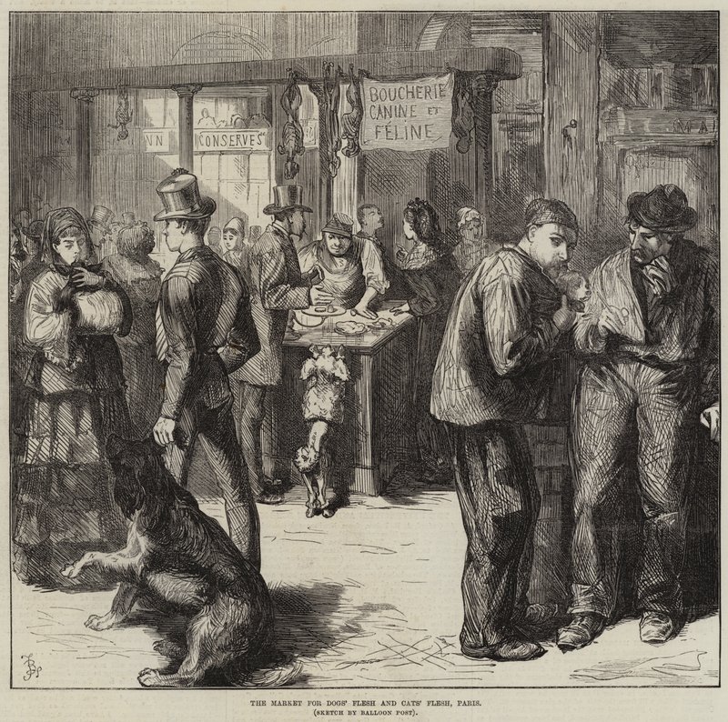 Markedet for hundekød og kattekød, Paris af Frederick Barnard