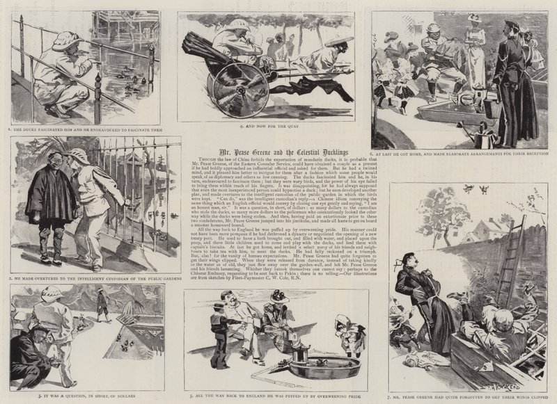 Mr Pease Greene and the Celestial Ducklings (gravering) af Frederick Henry Townsend
