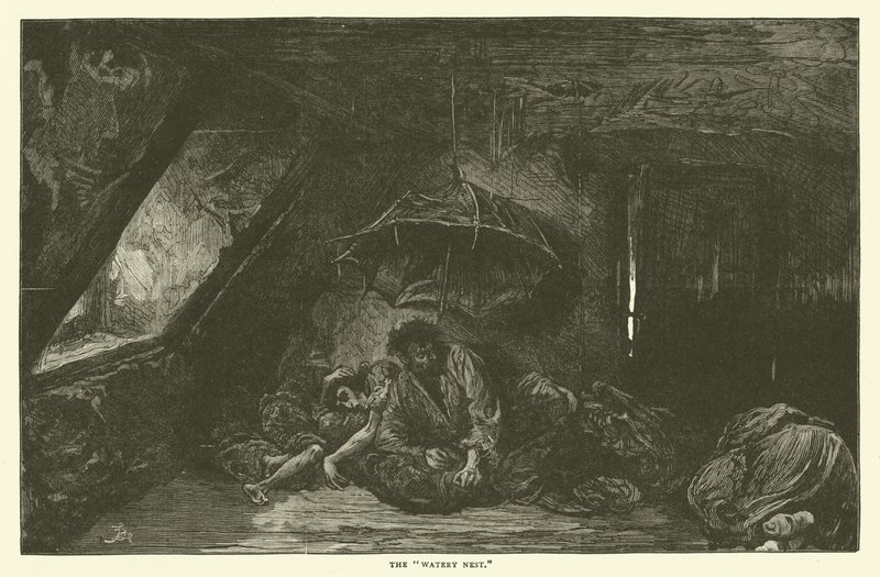 Den vandige rede af Frederick L. Bernard