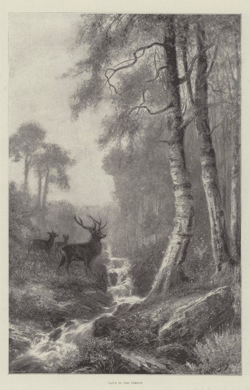Daggry i Skoven af Frederick William Hayes