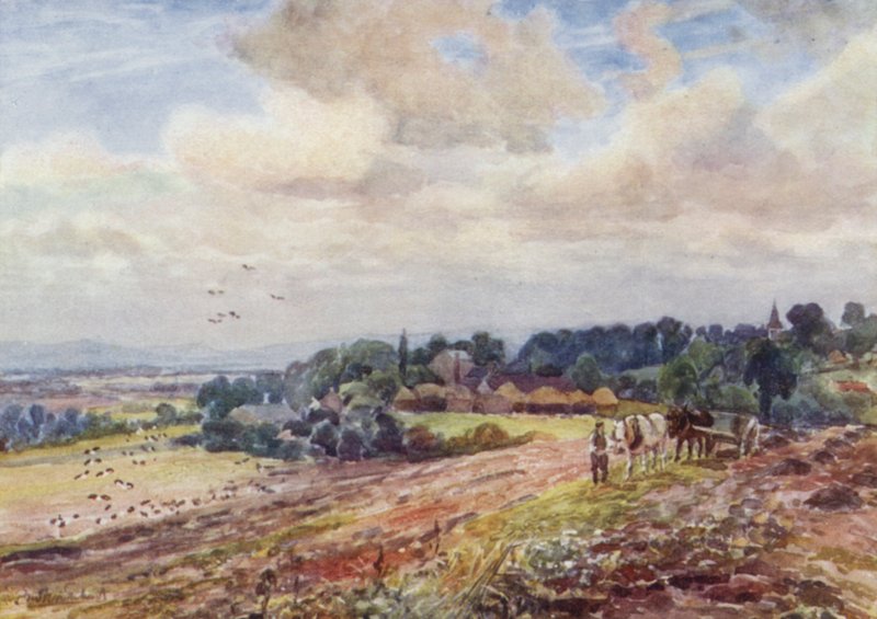 Sulten Grafton af Frederick William Newton Whitehead