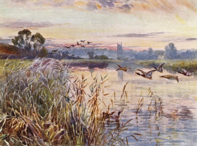 Salford Priors af Frederick William Newton Whitehead