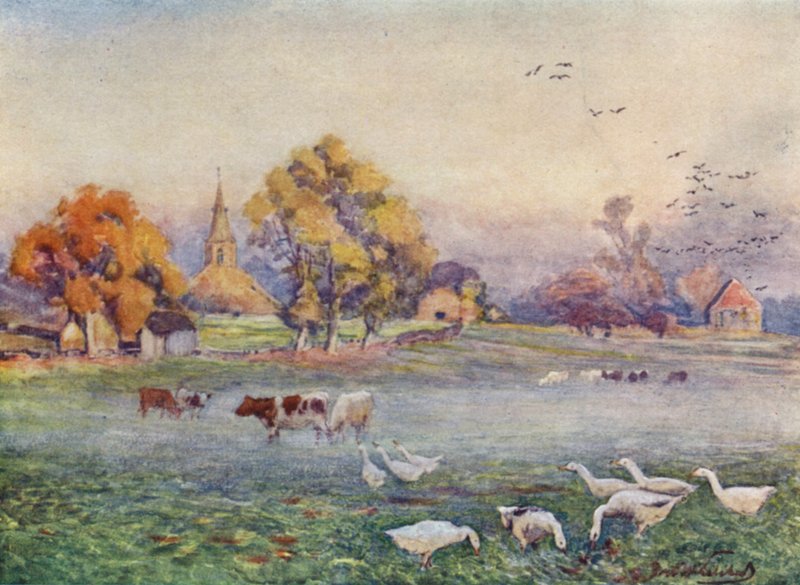 Abbey Fields, Kenilworth af Frederick William Newton Whitehead