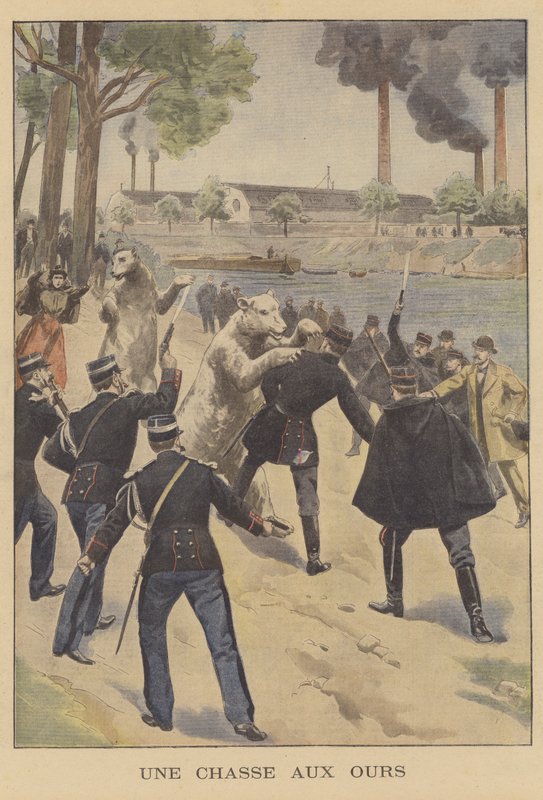 En bjørnejagt i Paris af French School