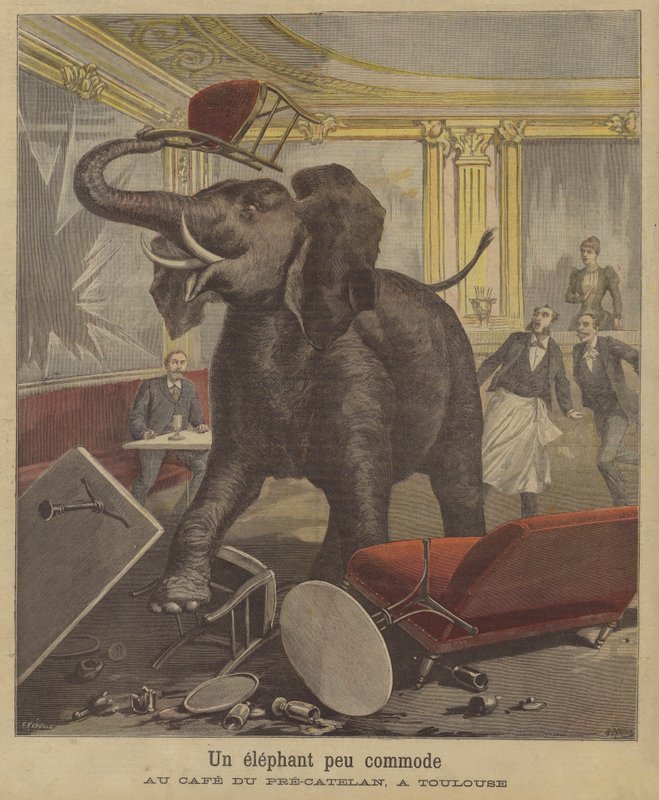 En elefant på amok i en café i Toulouse af French School