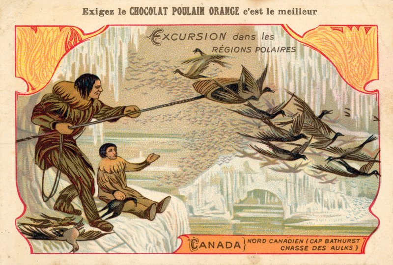 Jagtfugle, Cape Bathurst, det nordlige Canada af French School