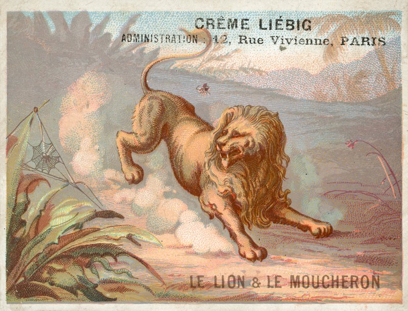 Løven og myggen af French School