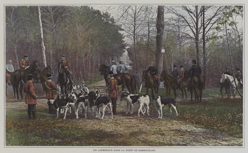 En korsvej i Foret de Rambouillet, Frankrig (farvefoto) af French Photographer