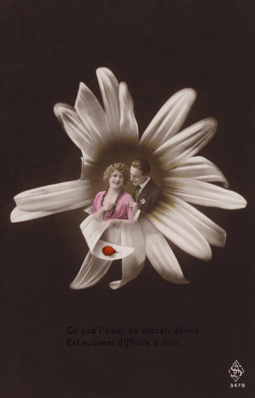 Et ungt par i midten af en blomst med mariehøne (tonet fotocollage) af French Photographer