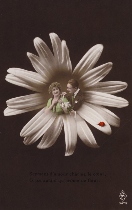 Et ungt par i midten af en blomst med mariehøne (tonet fotocollage) af French Photographer