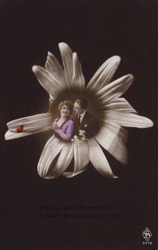 Et ungt par i midten af en blomst med mariehøne (tonet fotocollage) af French Photographer