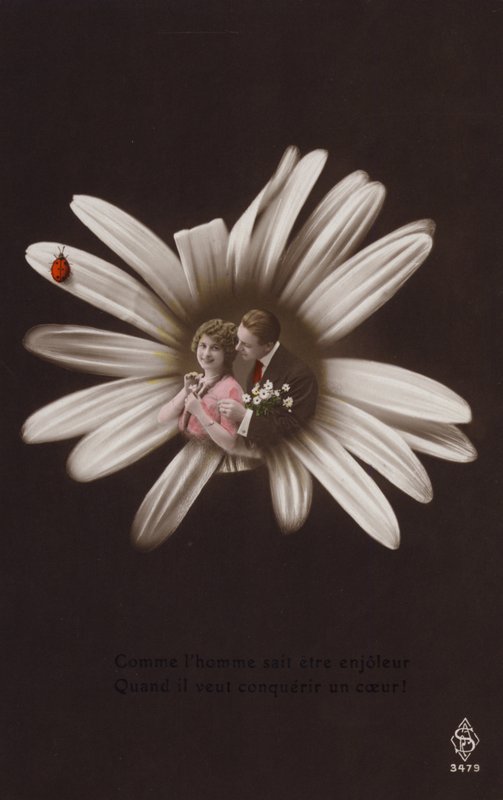 Et ungt par i midten af en blomst med mariehøne (tonet fotocollage) af French Photographer