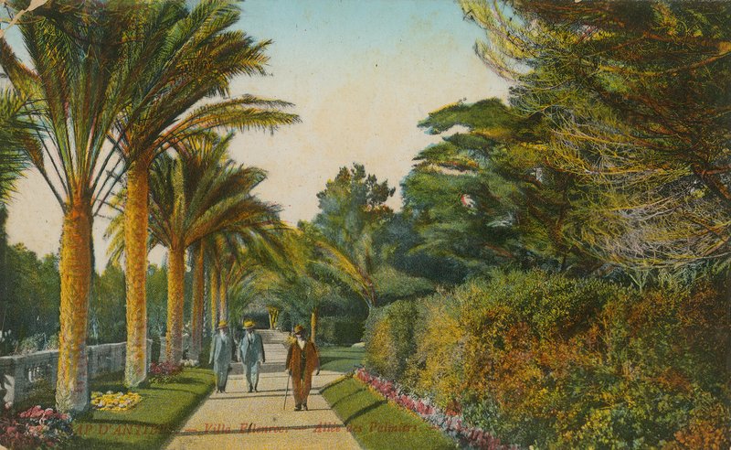 Alley of the Palms, haverne i Villa Eilenroc, Cap dAntibes, Frankrig. Postkort sendt i 1913 af French Photographer