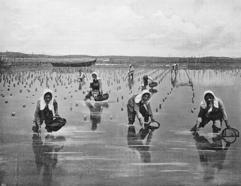 Arcachon - Oyster Parqueuses (s/h foto) af French Photographer