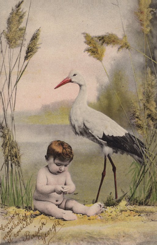 Baby med stork af French Photographer