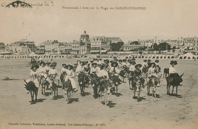 Æselture på stranden ved Les Sables-dOlonne i det vestlige Frankrig. Postkort sendt i 1913. af French Photographer
