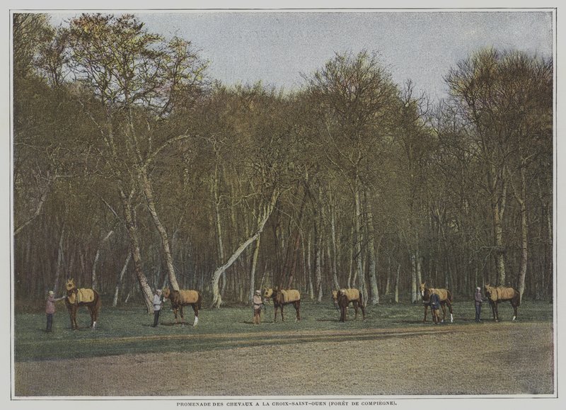Træner væddeløbsheste ved La Croix-Saint-Ouen i Foret de Compiegne, Frankrig (farvefoto) af French Photographer