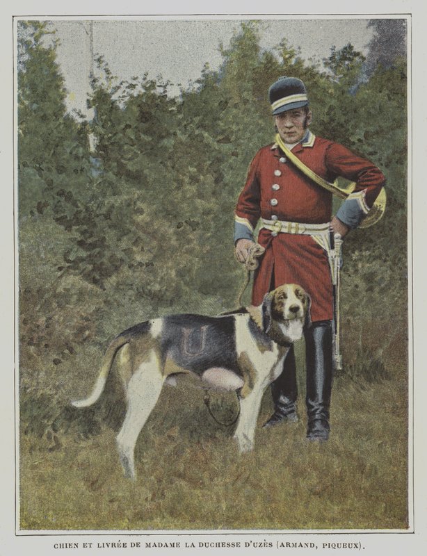 Hund og jæger i bemaling af jagten på hertuginden af Uzes, Frankrig (farvefoto) af French Photographer