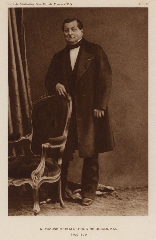 Jean Baptiste Boisduval, fransk lepidopterist og botaniker (s/h foto) af French Photographer