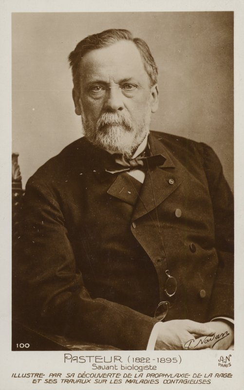 Louis Pasteur (1822-1895), fransk kemiker og mikrobiolog af French Photographer