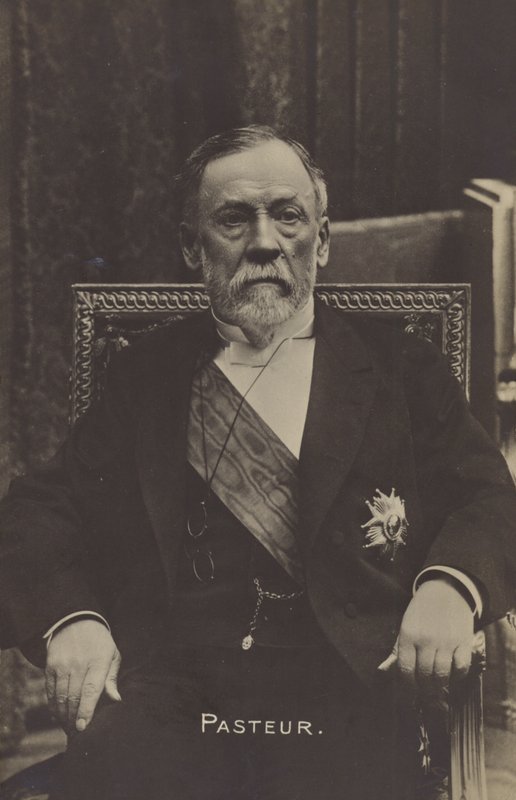 Louis Pasteur (1822-1895), fransk kemiker og mikrobiolog af French Photographer