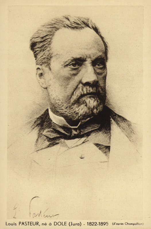 Louis Pasteur (1822-1895), fransk kemiker og mikrobiolog af French Photographer