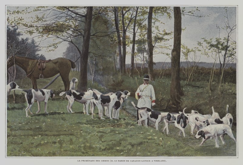 Pakke med hunde af Baron de Carayon-Latour i Virelade, Frankrig (farvefoto) af French Photographer