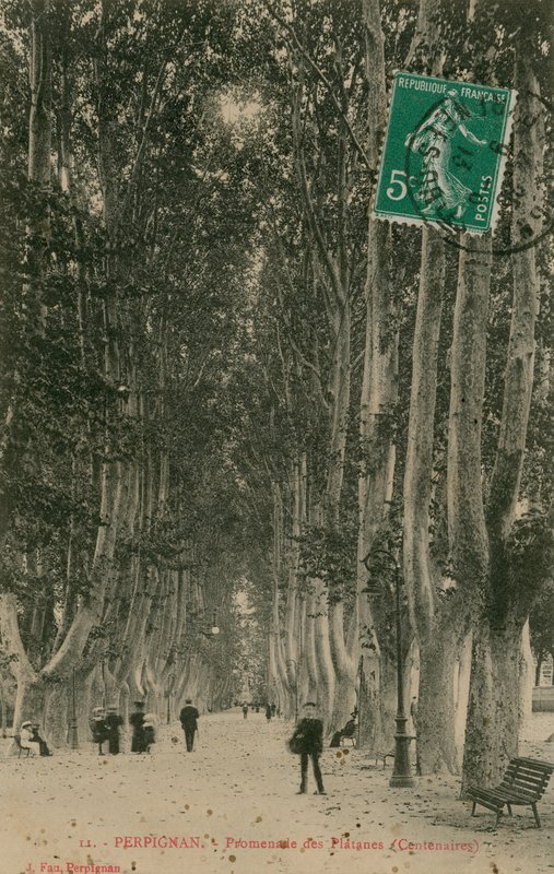 Promenade des Platanes i Perpignan. Postkort sendt i 1913. af French Photographer