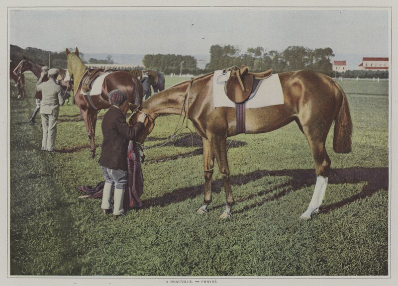 Væddeløbsheste i Deauville, Frankrig (farvefoto) af French Photographer