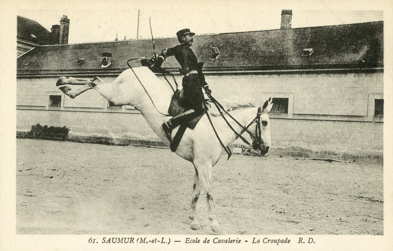 Saumur (Maine-et-Loire), Kavaleriskolen, La Croupade af French Photographer