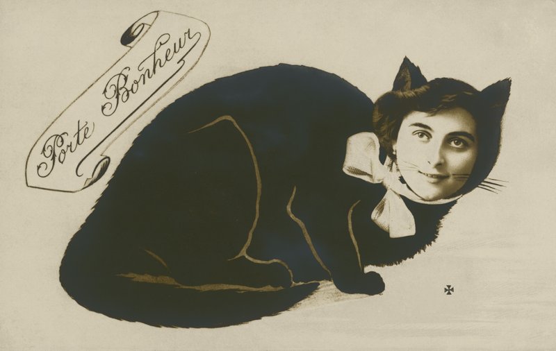 Surrealistisk kat med smukt pigeansigt (s/h-billede) af French Photographer
