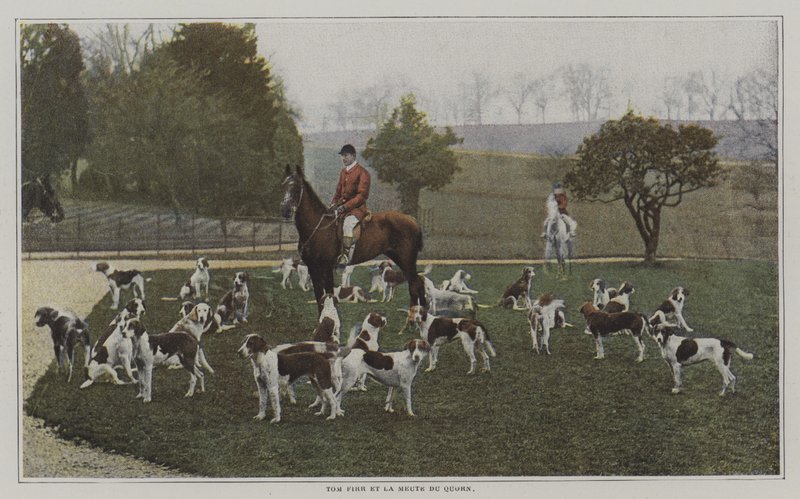 Tom Firr and the hounds of the Quorn Hunt, Leicestershire (farvefoto) af French Photographer