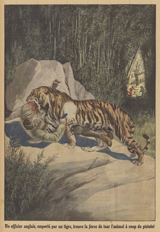 En britisk officer, båret væk af en tiger, finder styrken til at dræbe dyret med sin pistol (farve litho) af French School