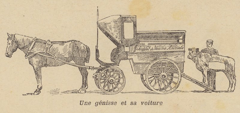 En kvie bliver læsset i en vogn (litho) af French School