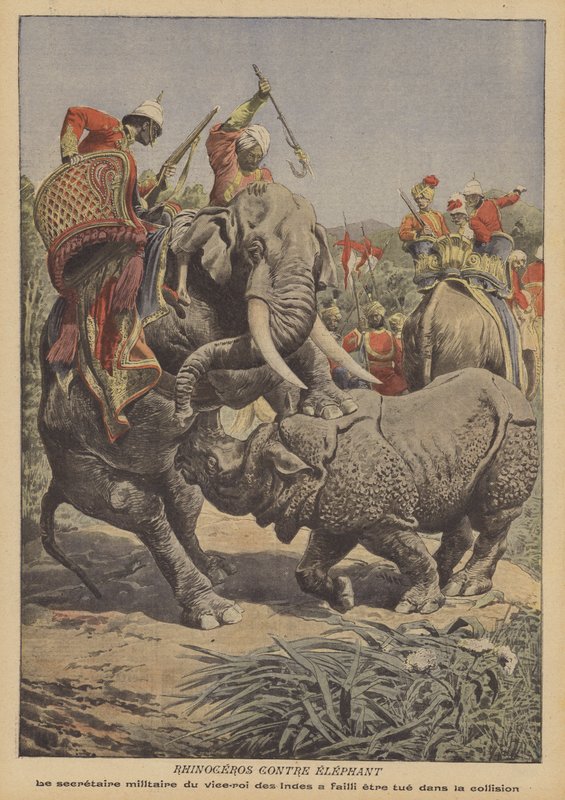 Et næsehorn angriber en elefant i Indien (farve litho) af French School